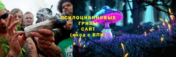 прущие крисы Дмитров